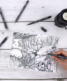 Fineliner Drawing Pen With POPIN Notebook