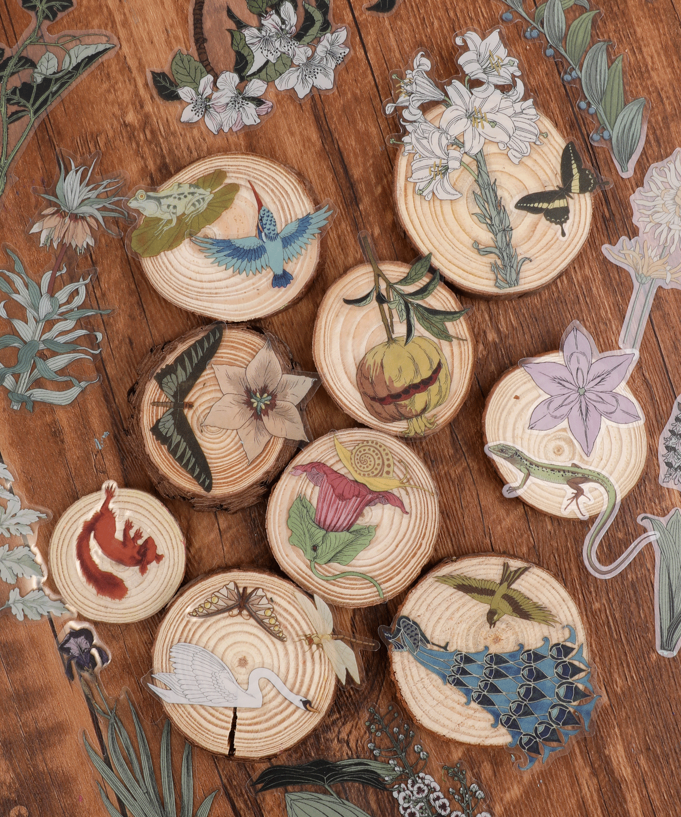 96 Pcs Nature’s Beauty Sticker Set