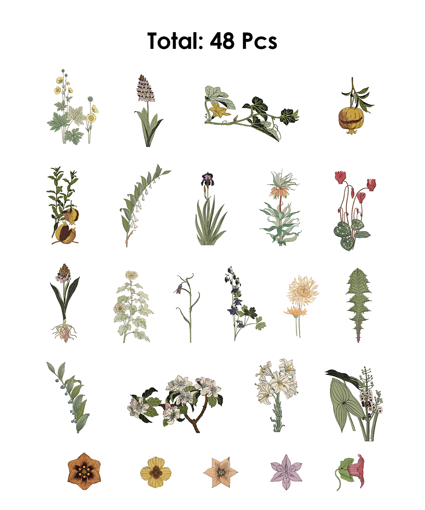96 Pcs Nature’s Beauty Sticker Set