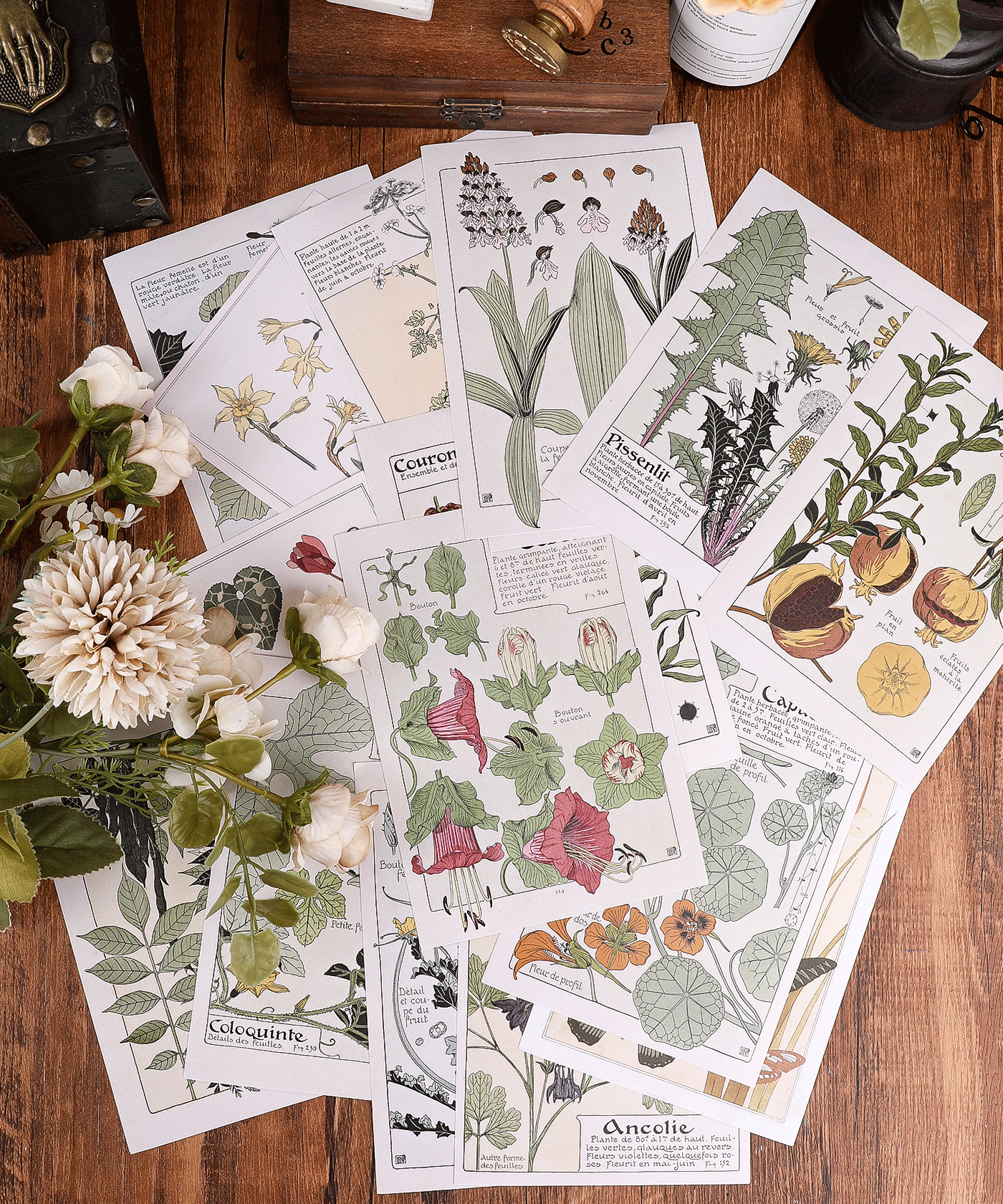 30 Sheets Plant Words Paper Set