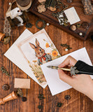 Grabie Exclusive 6 Pack Postcards With 6 Matching Envelopes