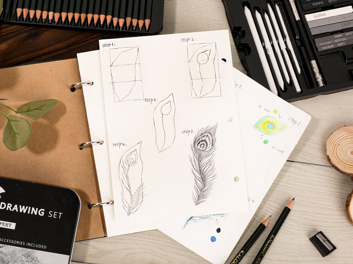 How to Draw a Peacock Feather Easily - Grabie