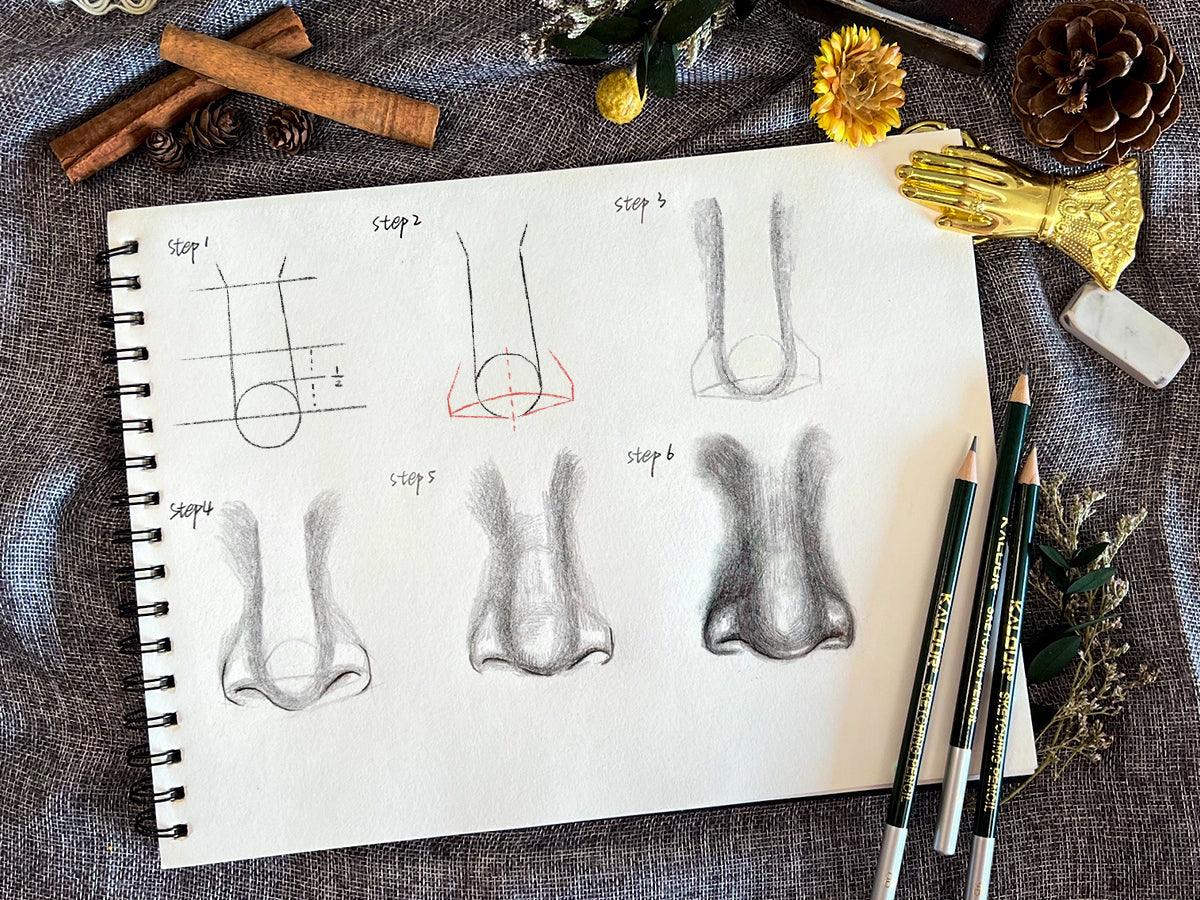 How to Draw a Realistic Nose in 6 Easy Steps - Grabie