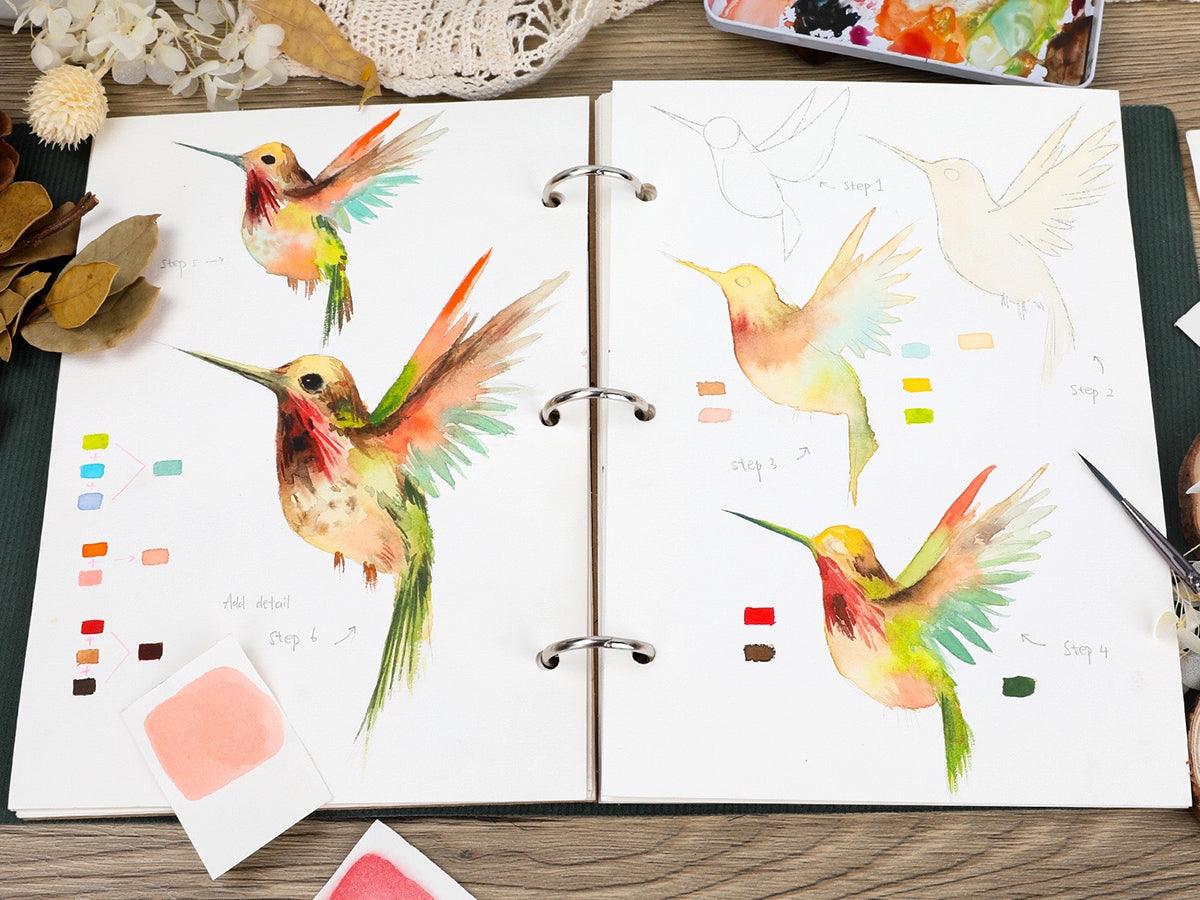 How to Draw a Watercolor Humming Bird - Grabie