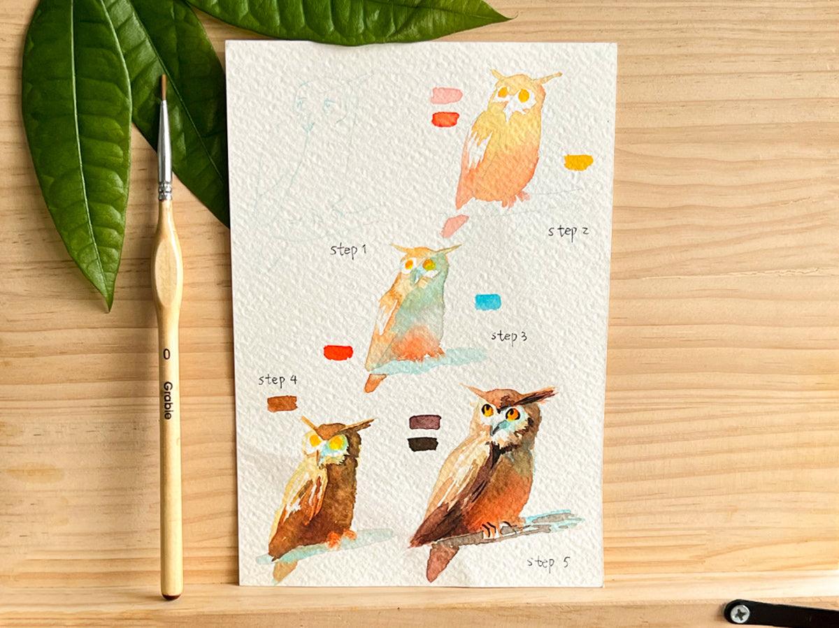 How to Draw an Owl with Watercolors - Grabie
