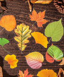 120 Pcs Autumn Story Sticker Set