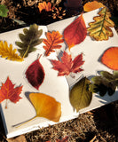 120 Pcs Autumn Story Sticker Set