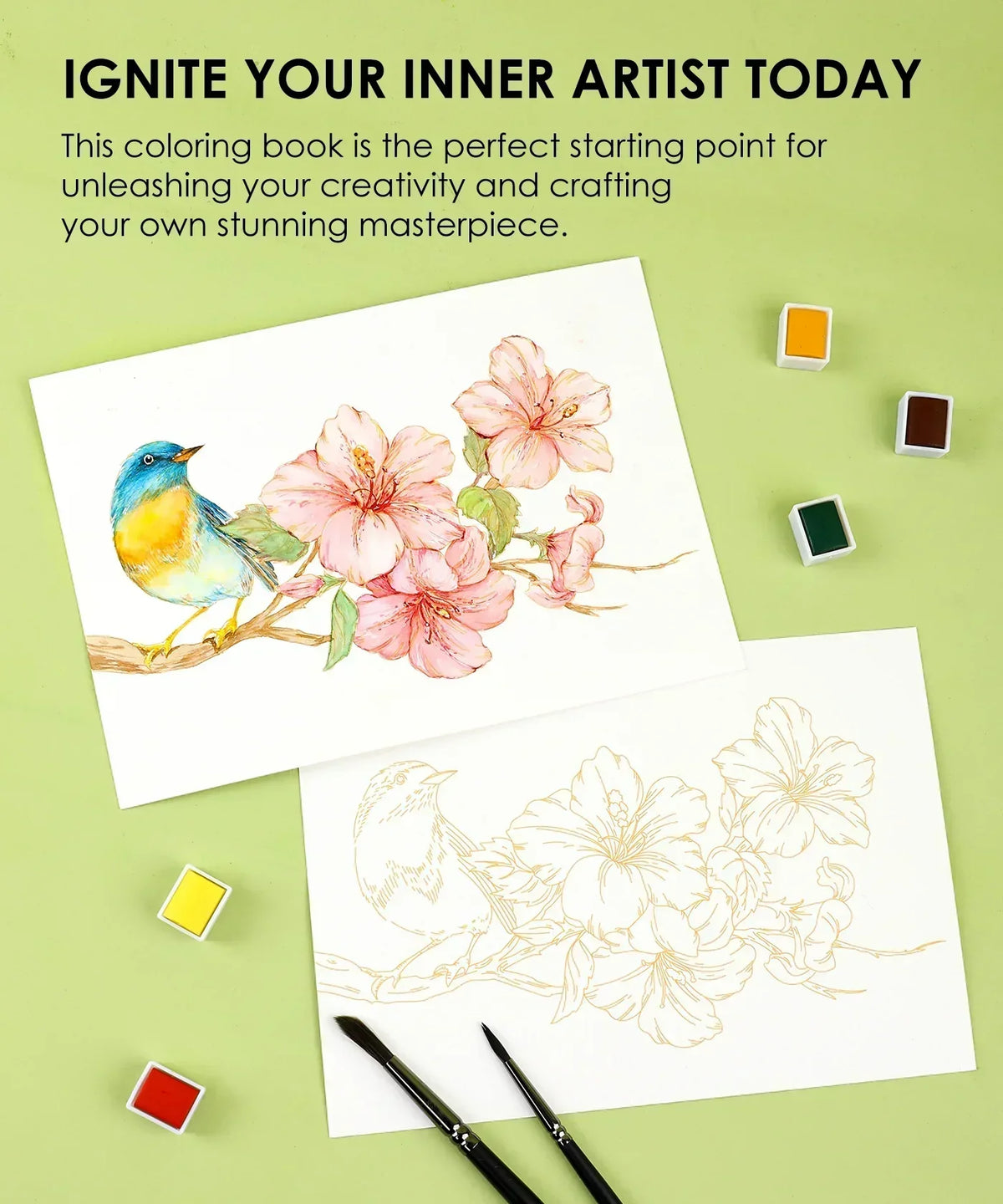 Floral-Themed Watercolor Coloring Club Box with bird and flower artwork, watercolor paints, and brushes on green background