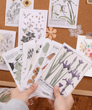 30 Sheets Plant Words Paper Set