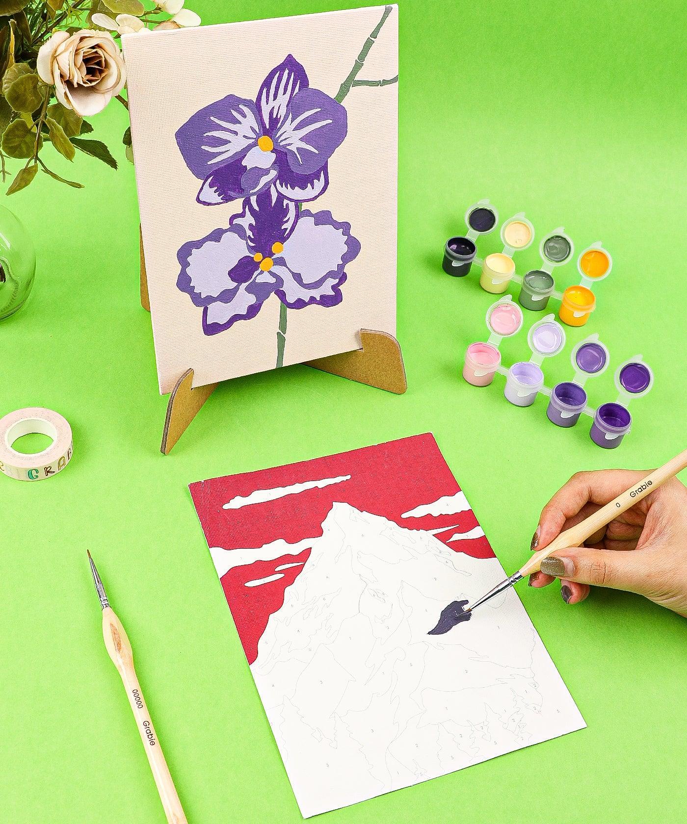 Paint-by-Number Nature Series Kit - 2 Designs showing floral and mountain paintings with brushes and paint pots on green background