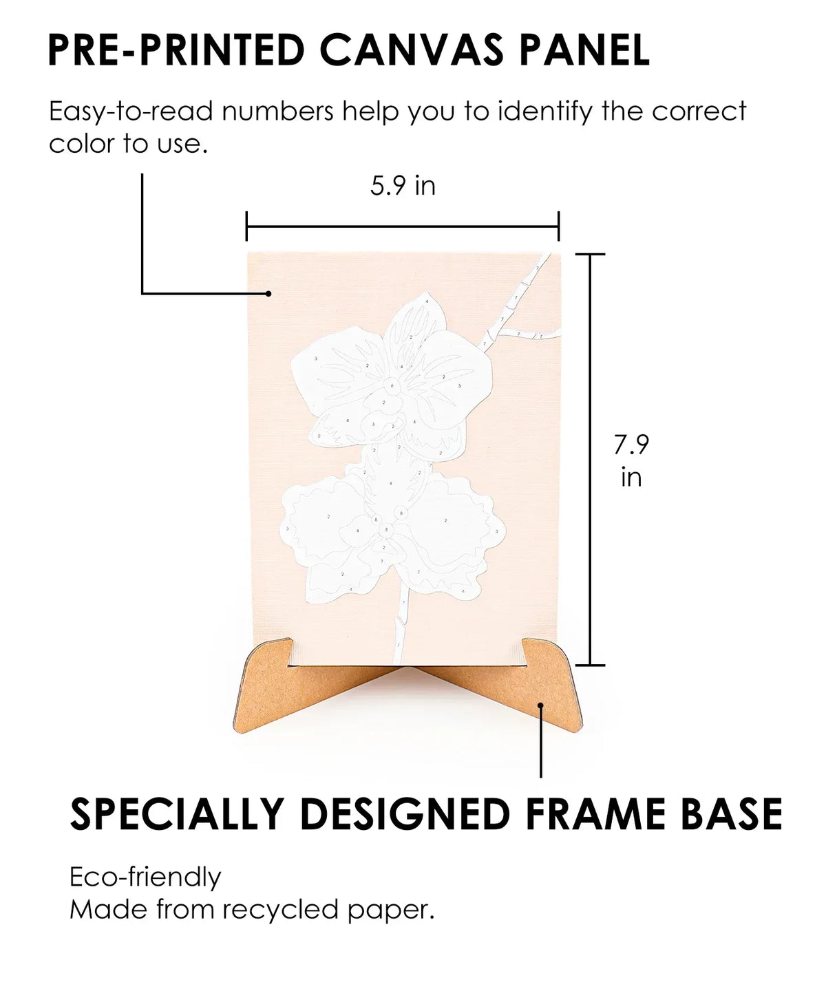Paint-by-Number Nature Series Kit - 2 Designs pre-printed canvas with numbered sections and eco-friendly recycled paper frame base