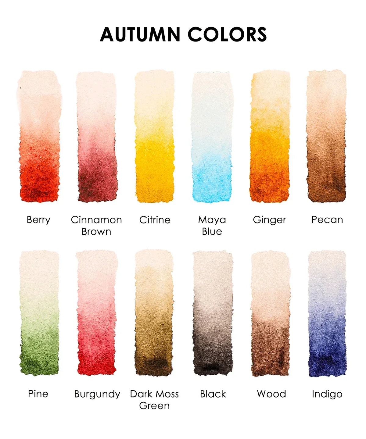Watercolor swatches in autumn colors including berry, cinnamon brown, citrine, and more for Autumn-Themed Watercolor Coloring Club Box