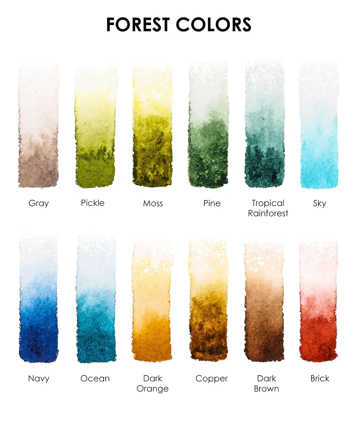 Color swatches featuring forest-inspired shades for the Forest-Themed Watercolor Coloring Club Box including green, brown, blue tones.