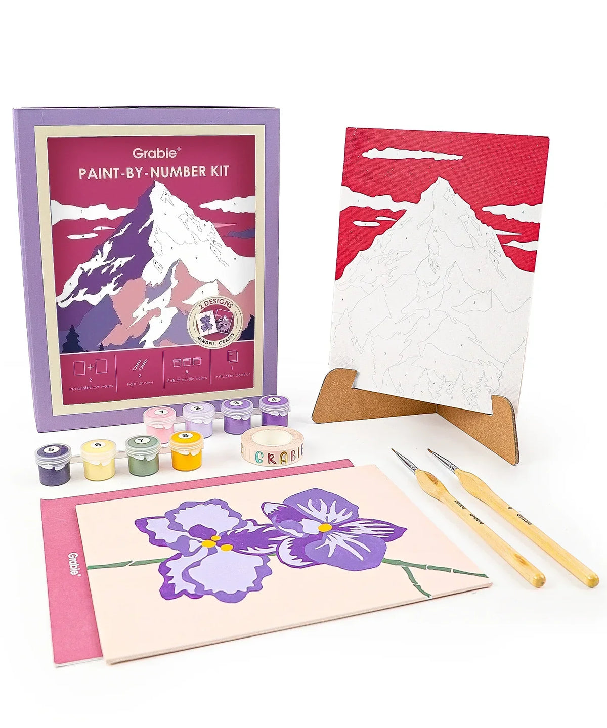Paint-by-Number Nature Series Kit - 2 Designs with mountain and flower scenes, paint pots, brushes, and canvas stands