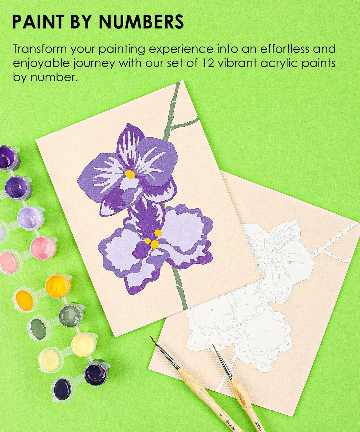 Paint-by-Number Nature Series Kit - 2 Designs with vibrant acrylic paints, brushes, and floral canvas on green background