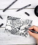 Fineliner Drawing Pen Set Of 12