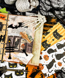 12 Sheets Grabie Exclusive Scaredy Cat Paper Set