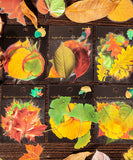 120 Pcs Autumn Story Sticker Set