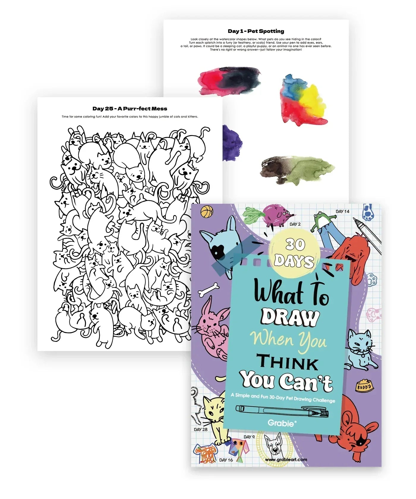 What To Draw: 30-Day Pet Drawing Kit with watercolor samples and black-and-white pet sketches on paper sheets