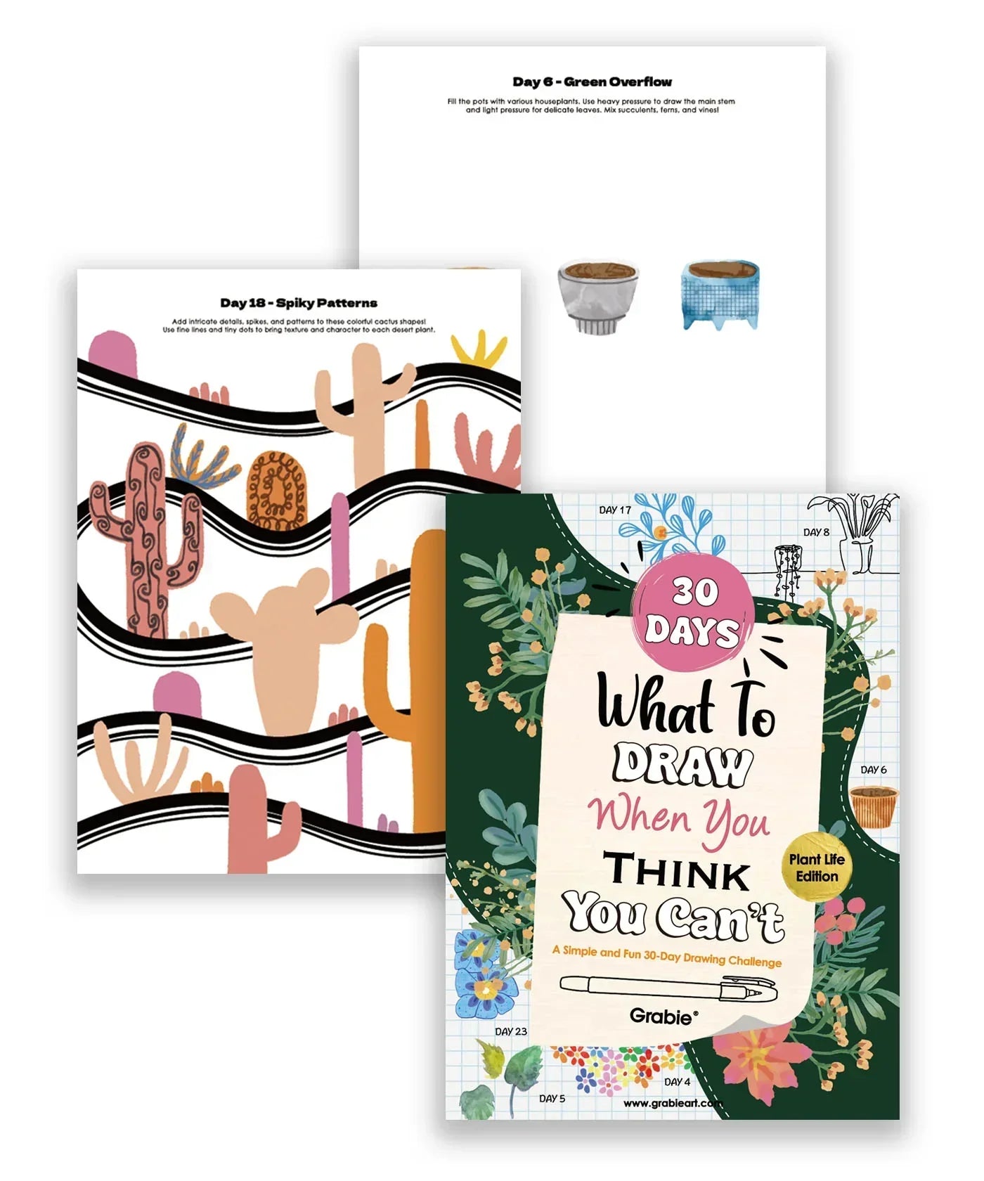 What To Draw: 30-Day Plant Life Edition Drawing Kit with colorful plant illustrations and step-by-step drawing guidance pages