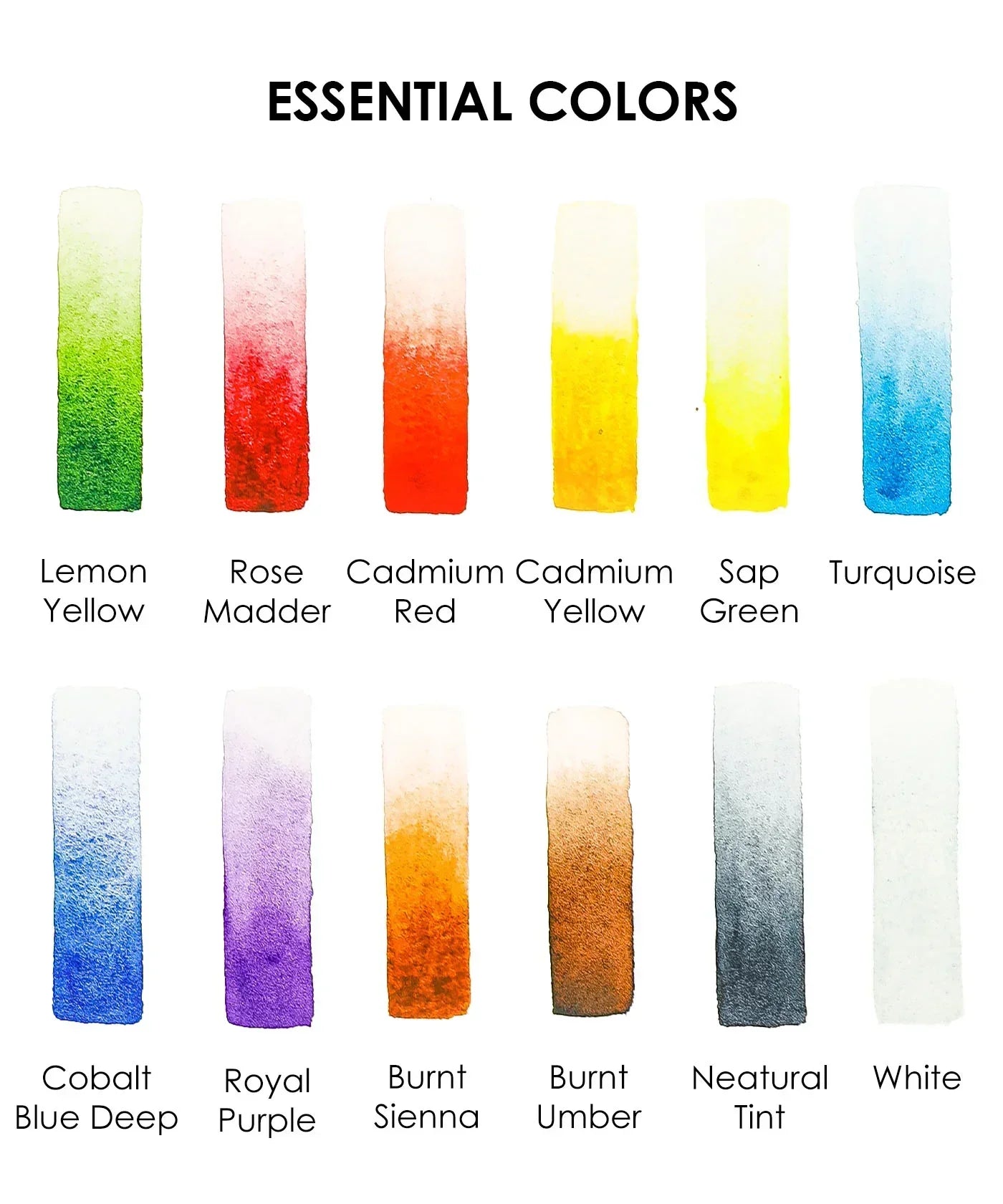 Watercolor paint swatches in various essential colors from the Essential-Themed Watercolor Coloring Club Box palette