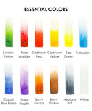 Grabie Quarterly Watercolor Coloring Club