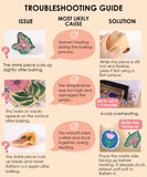 Shrink to Sparkles Craft Kit