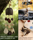 Create Your Own Rain Shell Shaker Kit