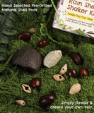 Create Your Own Rain Shell Shaker Kit