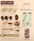 Create Your Own Rain Shell Shaker Kit