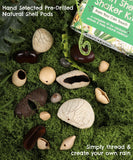 Create Your Own Rain Shell Shaker Kit