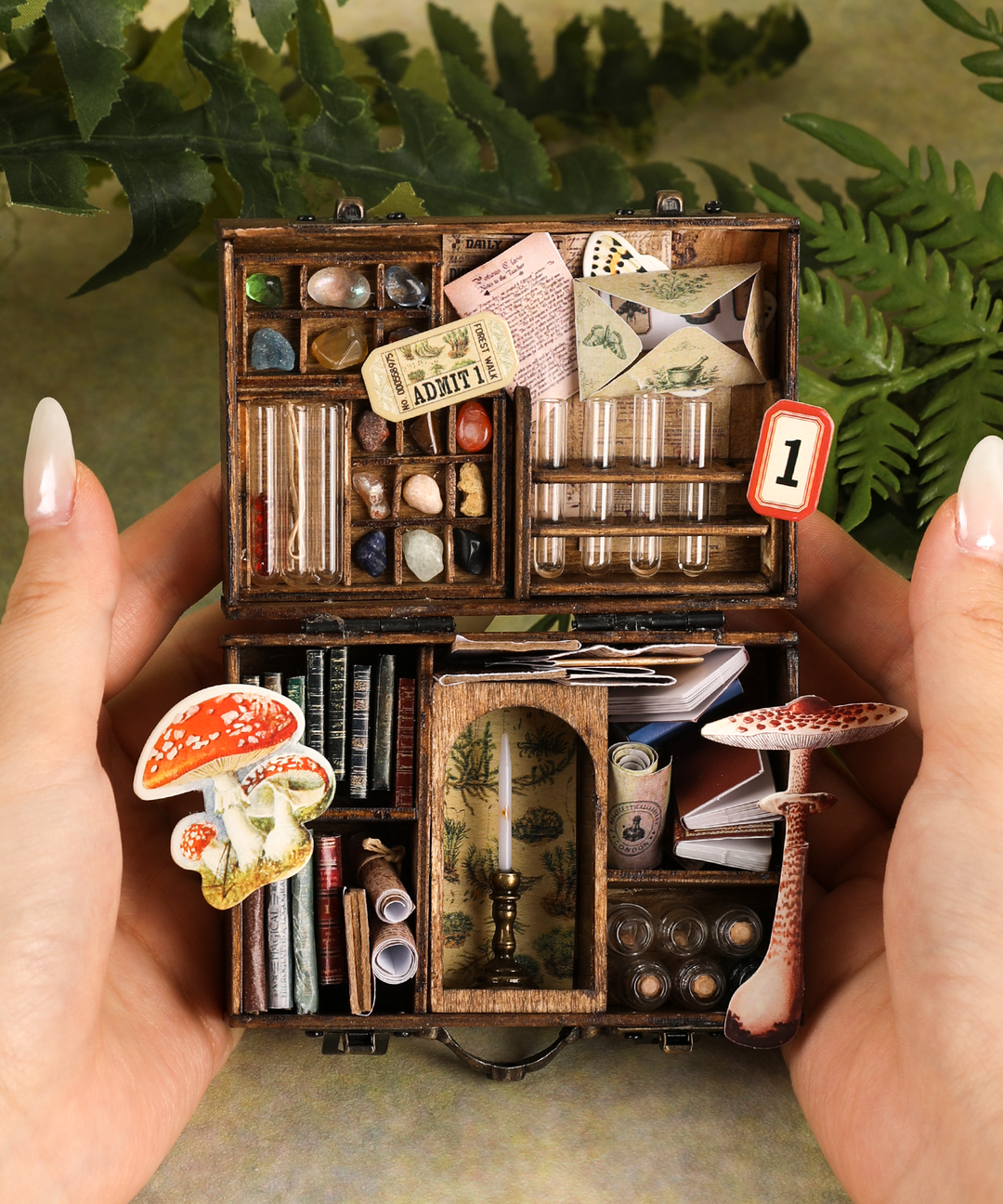 DIY Mini Specimen Chest Kit