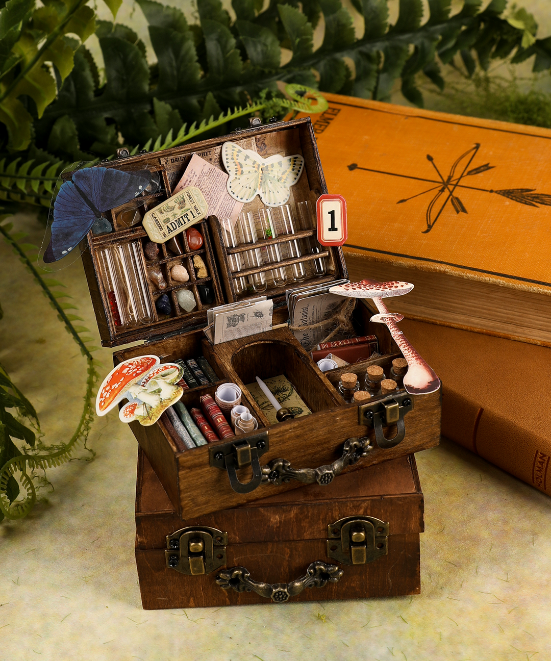DIY Mini Specimen Chest Kit