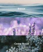 Scent Candle DIY Set scent options showing Breeze ocean waves, Lavender flowers, and Cedar Wood foliage close-ups