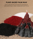 Scent Candle DIY Set