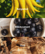 Scent Candle DIY Set fragrance oils including bergamot, blackcurrant, and oud with natural ingredient images.