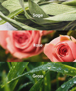 Close-up of sage, rose, and grass representing fragrance options for the Scent Candle DIY Set.