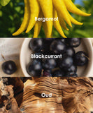 Scent Candle DIY Set