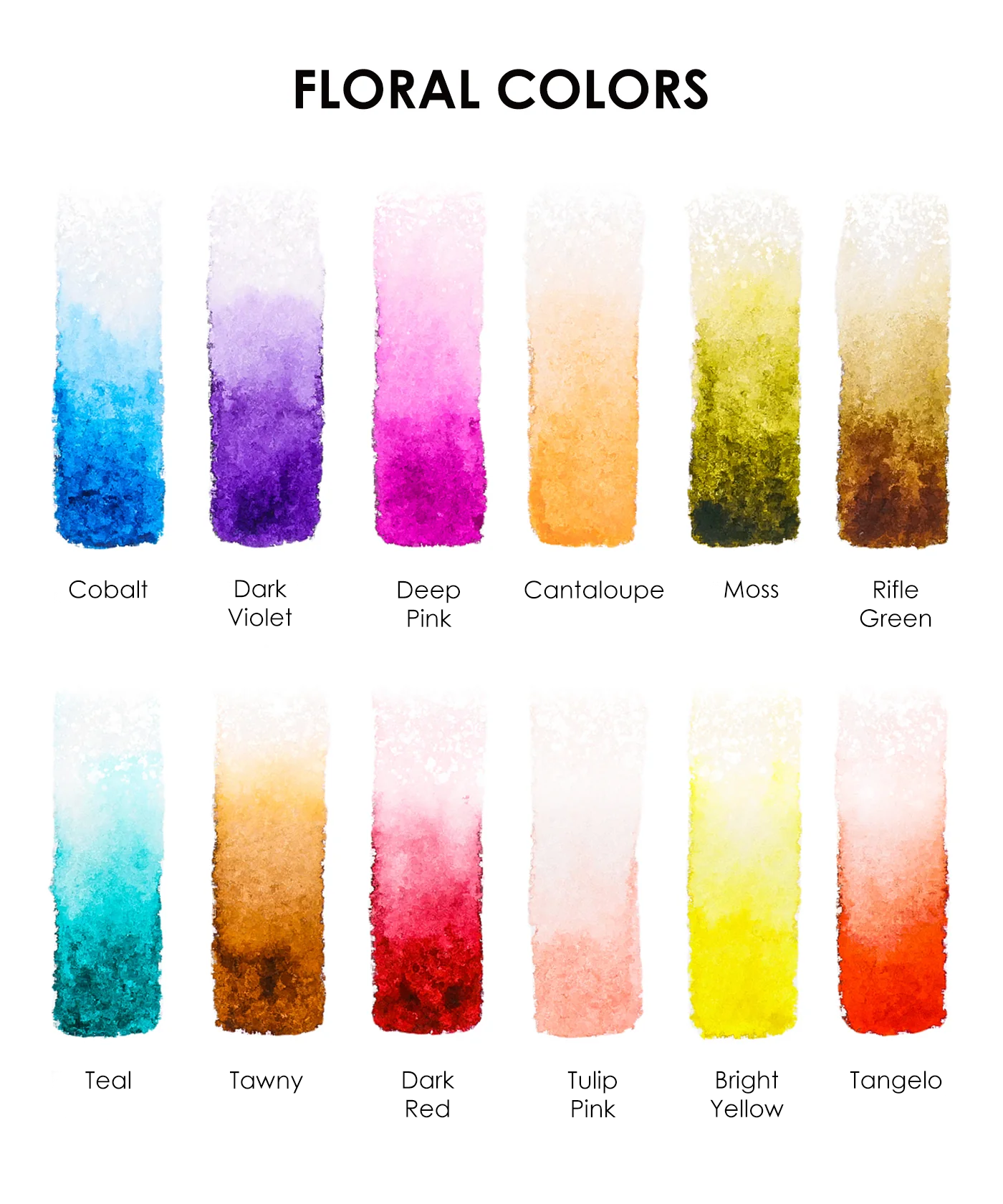 Grabie Foldable Watercolor Pocket Set of 12, Grabie Art, Grabie Art Supplies, Watercolor Mini Set, Grabie Watercolors, Professional Watercolor Paint Set, Pocket Watercolor Set, Pan Watercolor Paints, Miniature Watercolor Set