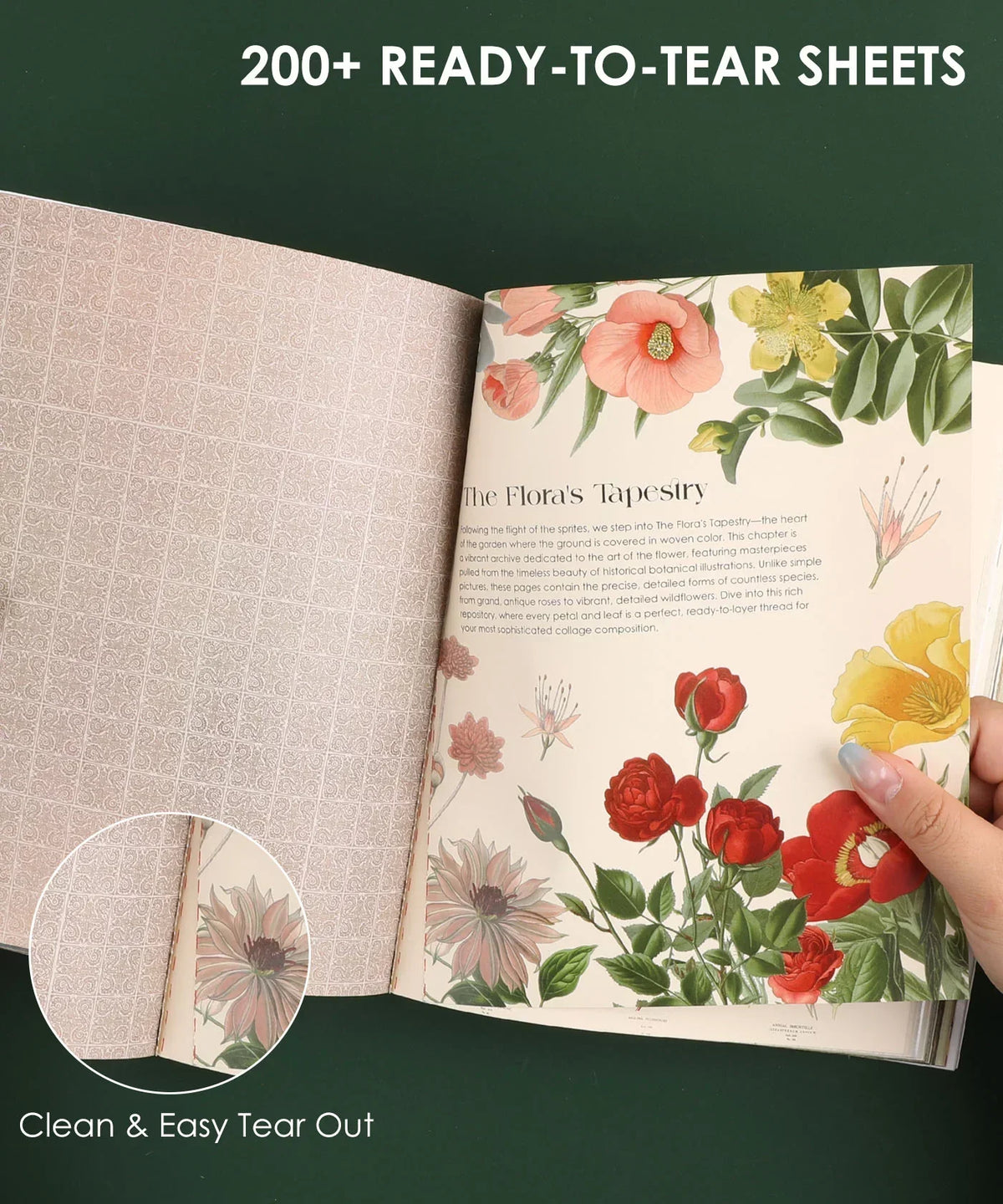 200+ Pages The Botanical Muse Collage Activity Book open to floral art pages with clean, easy tear-out sheets