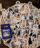 46 Pcs Mister Kitty Series Washi Stickers Set - Grabie® - Grabie®