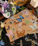 320 Pcs Butterfly & Dragonfly Themes PET Stickers Set - Grabie
